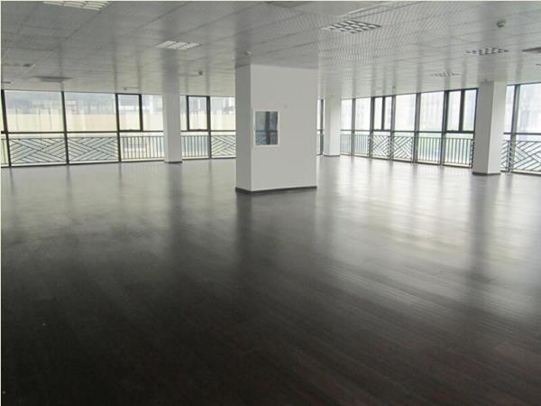 luxury SPC vinyl flooring